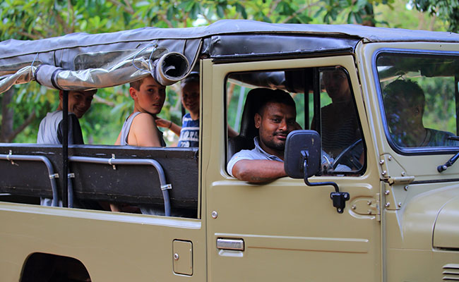 Minneriya Jeep Safari